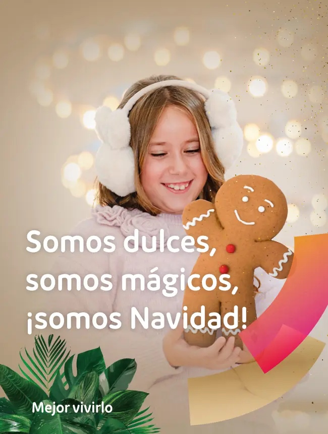 Banner – Navidad 2024